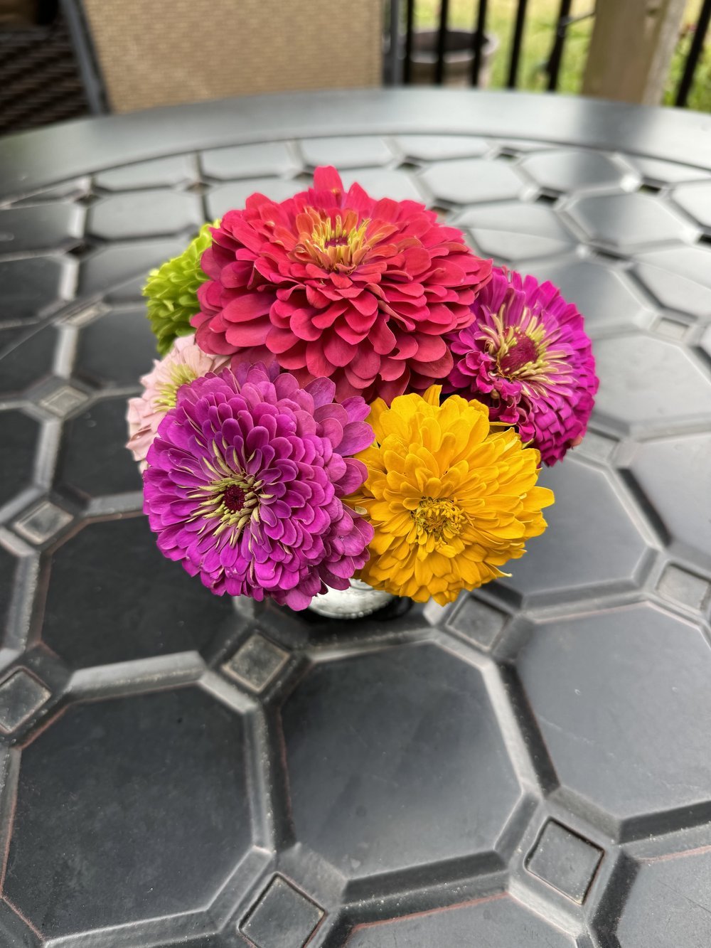 Zinnia Instructions — GreenCircle Certified
